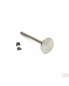 Briggs and Stratton - 394435 - Valve