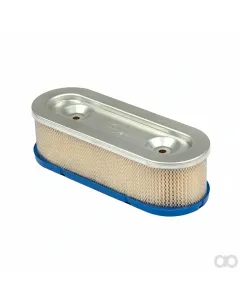 Briggs and Stratton - 399968 - Air Filter
