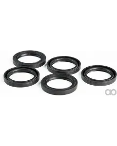 Briggs and Stratton - 4115 - Bulk Pack Oil Seals 5 x 291675
