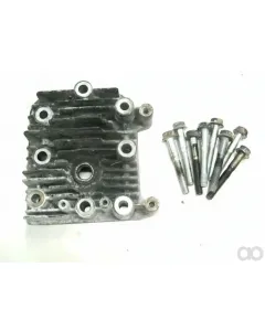 Briggs and Stratton - 590411 - Cylinder Head