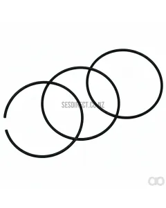 Briggs and Stratton - 690162 - Piston Rings Std.