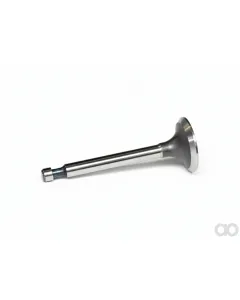 Briggs and Stratton - 690429 - Valve