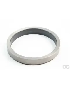 Briggs and Stratton - 691802 - Sealing Ring
