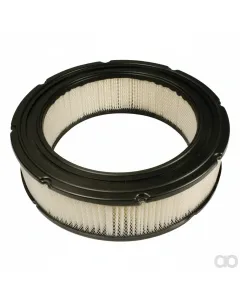 Briggs and Stratton - 692519 - Air Filter (4232)