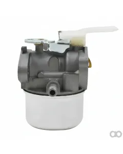 Briggs and Stratton - 698055 - Carburetor
