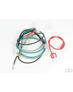 Briggs and Stratton - 698330 - Wiring Harness
