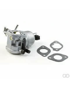 Briggs and Stratton - 699807 - Carburetor