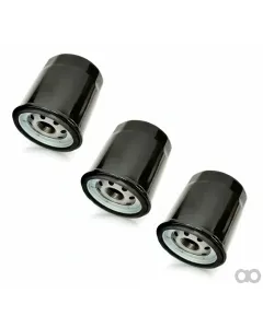 Briggs and Stratton - 820314 - Engine Oil Filter Ferrari