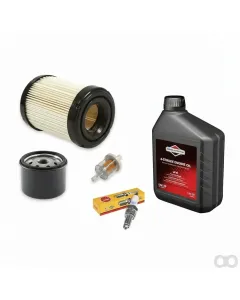 Briggs and Stratton - 998103 - Tune Up Kit Intek V-Twin