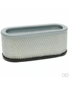 Briggs and Stratton - BS496894S - Filter Cartridge