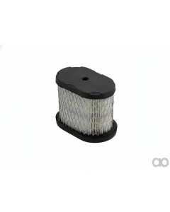 Briggs and Stratton - BS697029 - Filter
