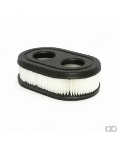 Briggs and Stratton - BS794421 - Air Filter