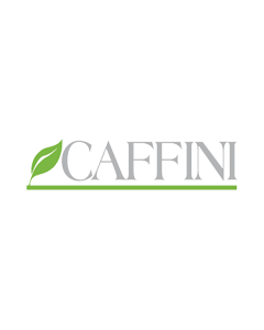 Caffini - 9922479 - 