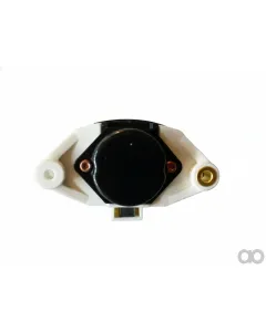 Cargo - 132666 - Regulator