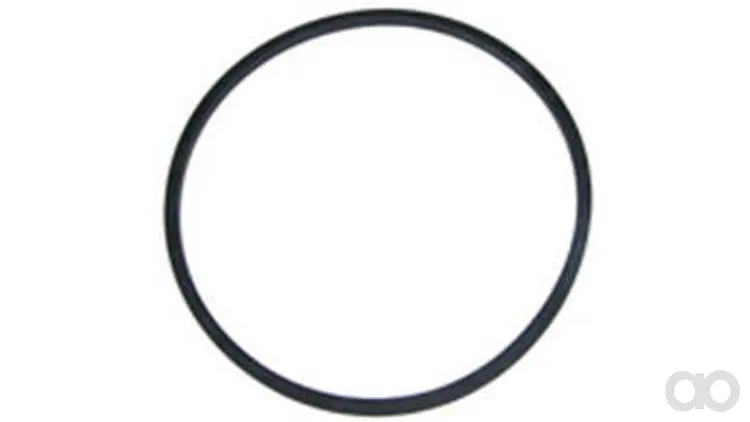 Case IH - 164159S - Gasket