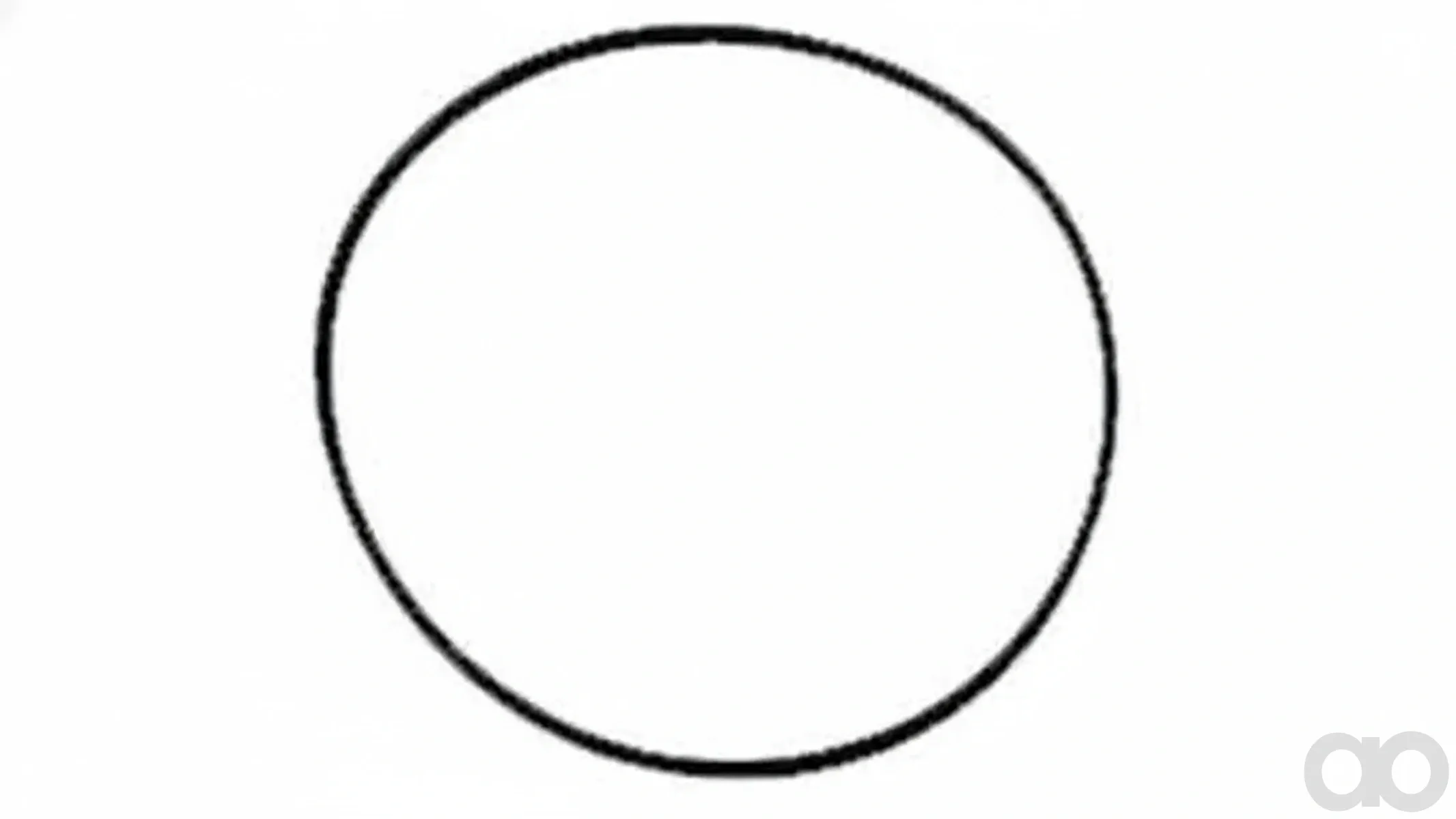 Case IH - 251311S - Gasket