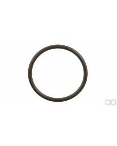Case IH - 8605395 - O-Ring