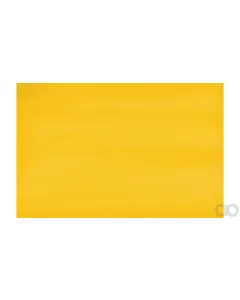 Case IH - 86109000DS - Paint