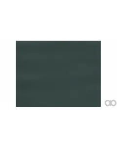 Case IH - 86109004DS - Paint