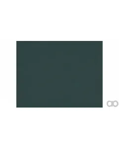 Case IH - 86109005DS - Paint
