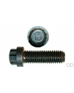 Case IH - 87013798 - 12-Point Bolt