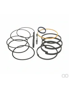Case IH - 87409038 - Hydraulic Cylinder Kit