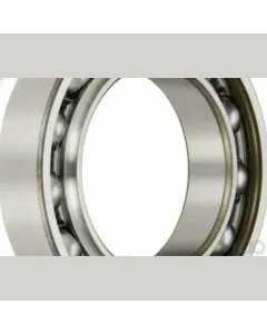 Case IH - 87591955 - Ball Bearing
