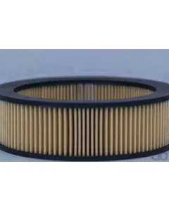 Case IH - AF1667 - Air Filter