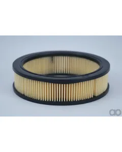 Case IH - AF1669 - Air Filter