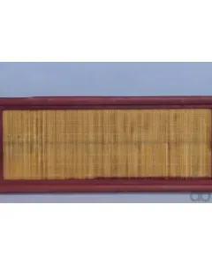 Case IH - AF1774 - Air Filter