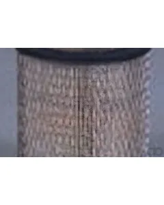 Case IH - AF1792 - Air Filter