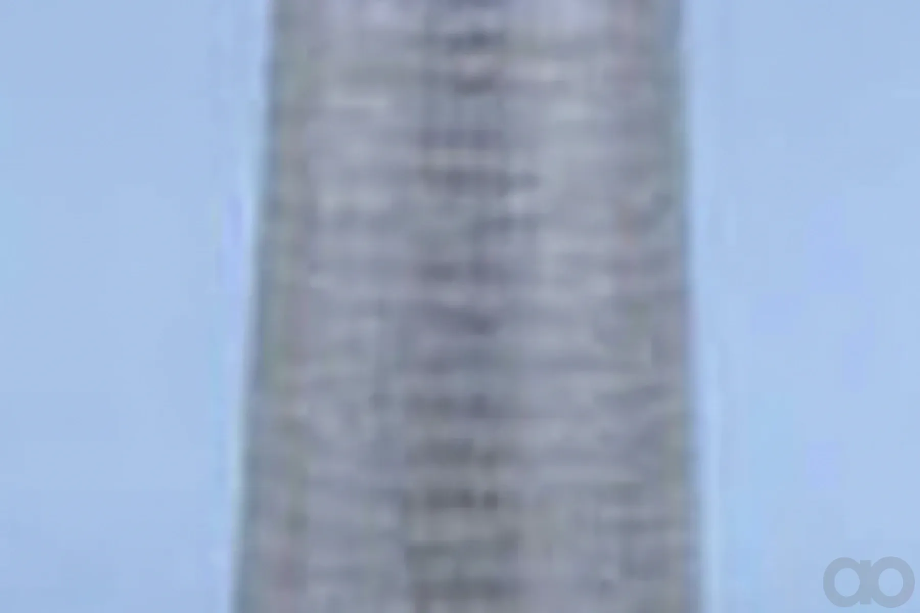 Case IH - AF1838 - Air Filter