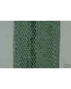 Case IH - AF25041 - Air Filter