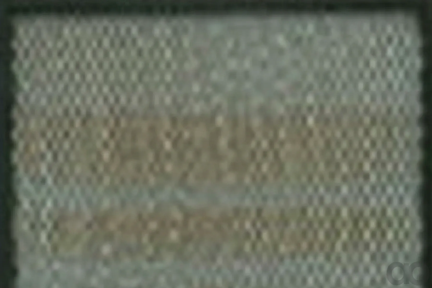 Case IH - AF25227 - Air Filter