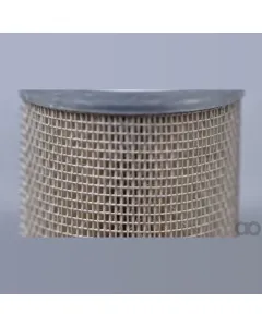 Case IH - AF25279 - Air Filter