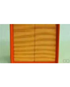 Case IH - AF25305 - Air Filter