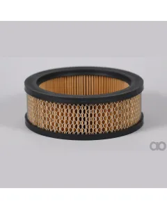Case IH - AF25340 - Air Filter