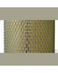 Case IH - AF25399 - Air Filter