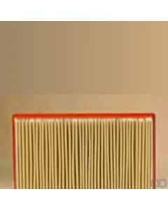 Case IH - AF25423 - Air Filter