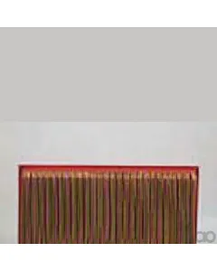 Case IH - AF25629 - Air Filter