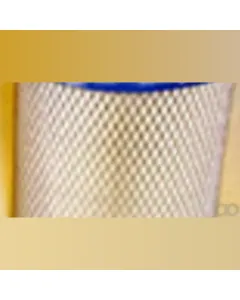 Case IH - AF25701 - Air Filter