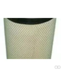 Case IH - AF25897 - Air Filter