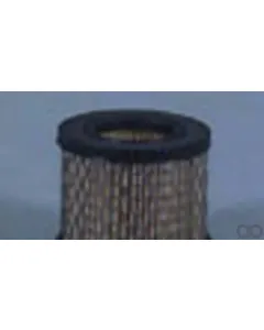 Case IH - AF281 - Air Filter