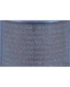 Case IH - AF289 - Air Filter