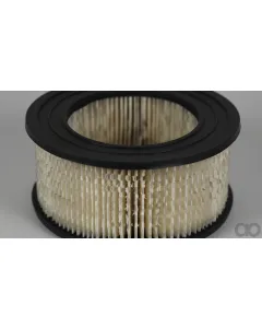 Case IH - AF291 - Air Filter
