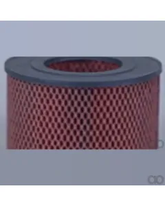 Case IH - AF4509 - Air Filter