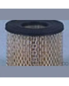 Case IH - AF4574 - Air Filter