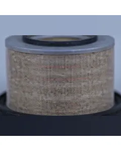 Case IH - AF4587 - Air Filter