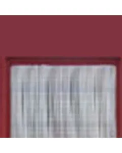 Case IH - AF4592 - Air Filter