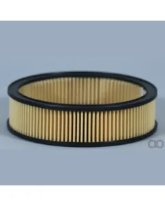 Case IH - AF4594 - Air Filter